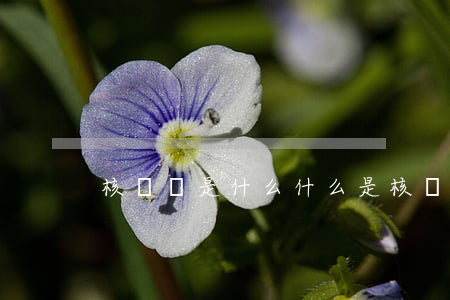 核銷單是什么(什么是核銷訂單)