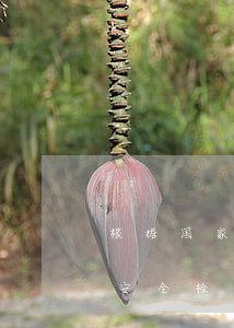 根据国家法律法规此网站(网页被腾讯网址安全检测中心禁止访问怎么办)
