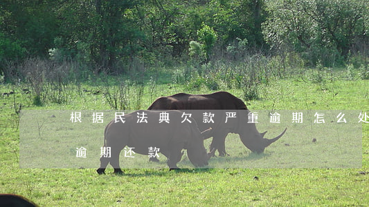 根据民法典欠款严重逾期怎么处理-民法典逾期还款