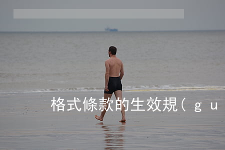 格式條款的生效規(guī)則