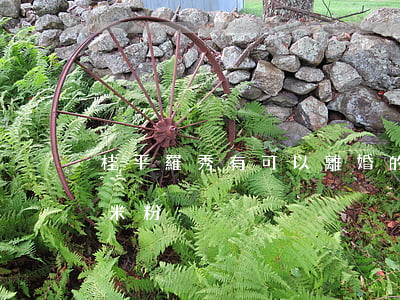 桂平羅秀有可以離婚的法院嗎(廣西桂平羅秀米粉)