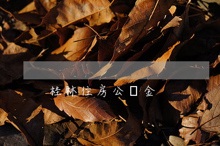 桂林住房公積金