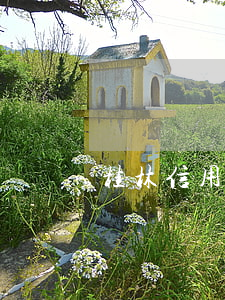 桂林信用卡利息(桂林銀行的信用卡利息高嗎)