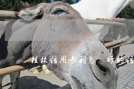 桂林信用卡利息 銀行的信用卡利息是多少