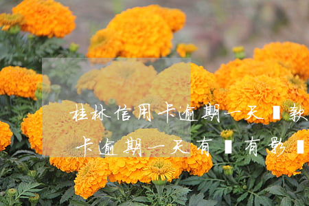 桂林信用卡逾期一天還款后果 建設銀行信用卡逾期一天有沒有影響?