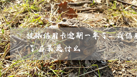 桂林信用卡逾期一年了-我信用卡逾期一年了后果是什么?
