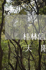 桂林信用卡逾期半個月(桂林銀行信用卡有幾天寬限期)