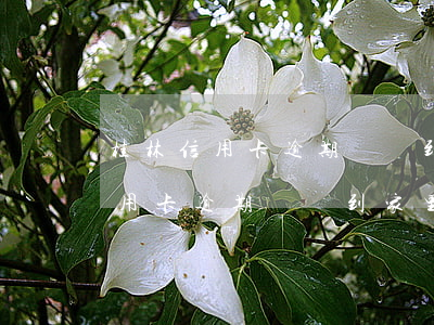 桂林信用卡逾期會來到家里找人嗎-桂林信用卡逾期會來到家里找人嗎知乎