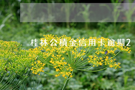 桂林公積金信用卡逾期2次(信用卡逾期政策)