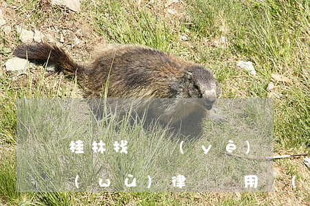 桂林找專業(yè)債權(quán)債務(wù)律師費用標(biāo)準(zhǔn)-桂林市追債公司