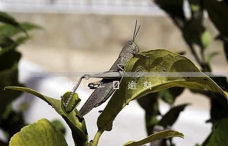 桂林社工證逾期