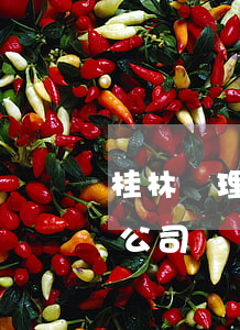 桂林處理債務(wù)的律師-桂林市追債公司