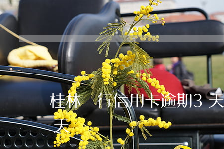 桂林銀行信用卡逾期3天(桂林信用卡逾期三天)