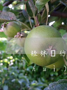 桂林銀行信用卡逾期了兩天(桂林銀行卡會(huì)過期嗎)