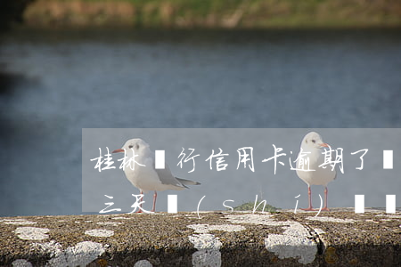 桂林銀行信用卡逾期了幾天(桂林銀行有延期三天時(shí)間嗎)