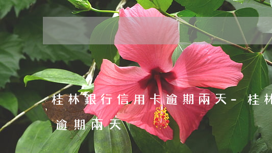 桂林銀行信用卡逾期兩天-桂林銀行信用卡逾期兩天