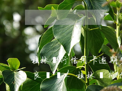 桂林銀行信用卡逾期多久會(huì)有不良記錄-桂林銀行信用卡逾期多久會(huì)有不良記錄