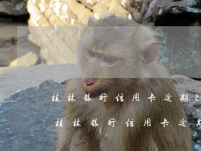 桂林银行信用卡逾期2天会有不良记录吗-桂林银行信用卡逾期2天会有不良记录吗