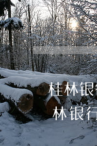 桂林银行信用卡逾期多久会有不良记录-桂林银行信用卡逾期多久会有不良记录