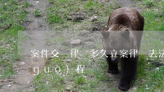 案件交給律師多久立案(律師去法院立案過(guò)程)