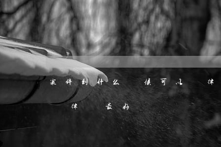 案件到什么時候可以請律師(打官司什么時候請律師最好)