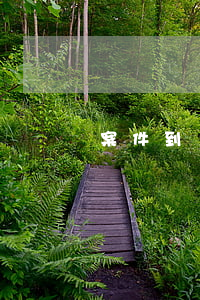 案件到檢察院多少天能到法院受理