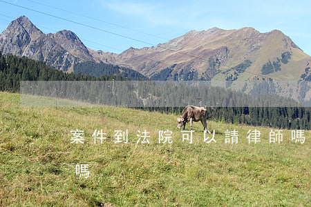 案件到法院可以請律師嗎(法院有律師可以請嗎)