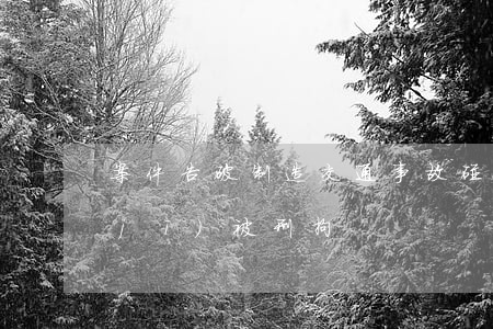 案件告破！制造交通事故碰瓷的出租車司機(jī)被刑拘
