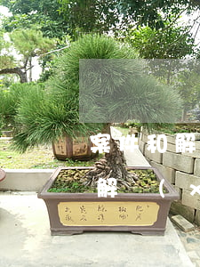 案件和解協(xié)議書范本(合同糾紛和解協(xié)議書)