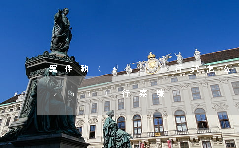 案件執(zhí)行號怎么來的(什么是執(zhí)行案號)