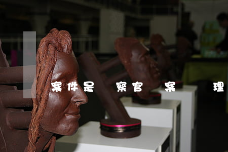 案件是檢察官辦案組辦理的,檢察官如何指定