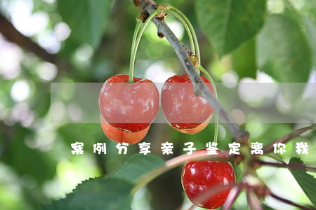 案例分享：亲子鉴定离你我有多远？