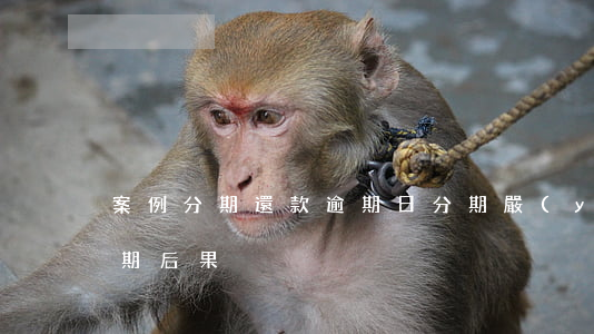 案例分期還款逾期日(分期嚴(yán)重逾期后果)