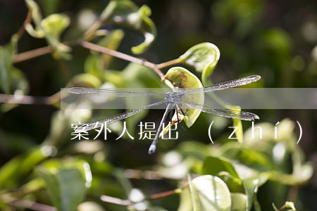 案外人提出執(zhí)行異議怎么處理