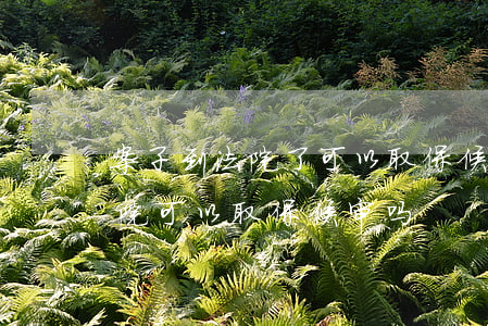案子到法院了可以取保候审吗(刑事案件到法院可以取保候审吗)