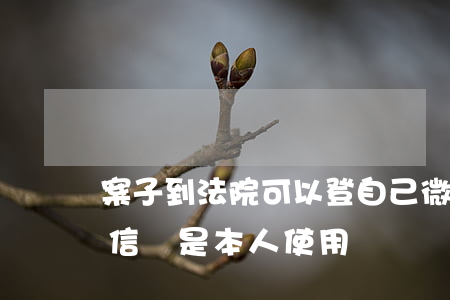 案子到法院可以登自己微信嗎(法院弄證明微信號是本人使用)