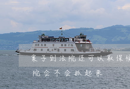 案子到法院还可以取保候审吗(取保候审到法院会不会抓起来)