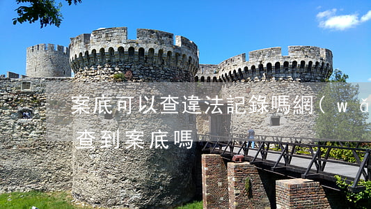 案底可以查違法記錄嗎(網(wǎng)上能查到案底嗎)