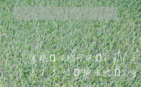 案接車法院可以強(qiáng)制執(zhí)行嗎(被法院強(qiáng)制執(zhí)行的車輛能開(kāi)嗎)