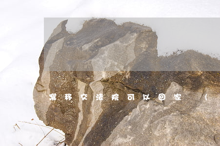 案移交法院可以回家過(guò)年嗎