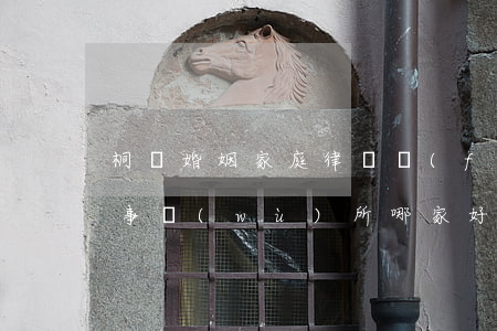 桐廬婚姻家庭律師費(fèi)用(桐廬律師事務(wù)所哪家好)