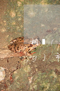 桐鄉(xiāng)女律師(桐鄉(xiāng)市律師咨詢電話)