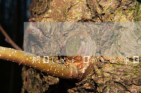 桐鄉(xiāng)市債務(wù)律師