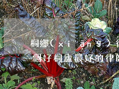 桐鄉(xiāng)律師事務(wù)所哪個好(桐廬最好的律師事務(wù)所)