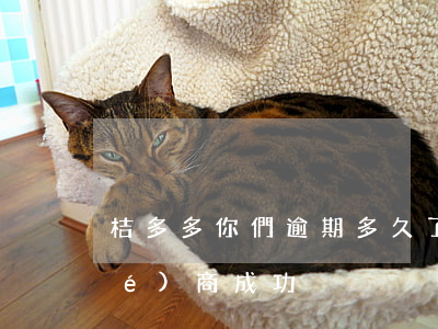桔多多你們逾期多久了（桔多多逾期協(xié)商成功）