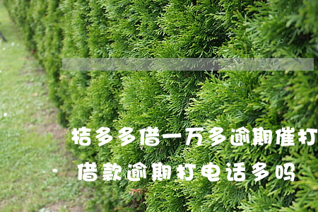 桔多多借一万多逾期催打电话改接-桔多多借款逾期打电话多吗