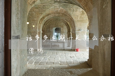 桔多多逾期一天怎么办 桔多多逾期三天还能借吗
