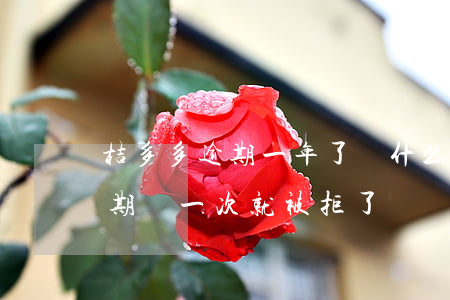 桔多多逾期一年了為什么不起訴-桔多多逾期過一次,就被拒了