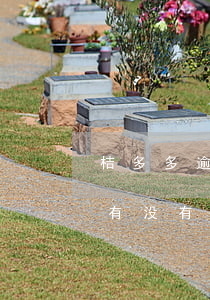 桔多多逾期不肯协商还款(桔多多欠款没还的有没有)