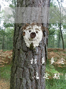 桔多多逾期多久會(huì)起訴(桔多多可以逾期多久)
